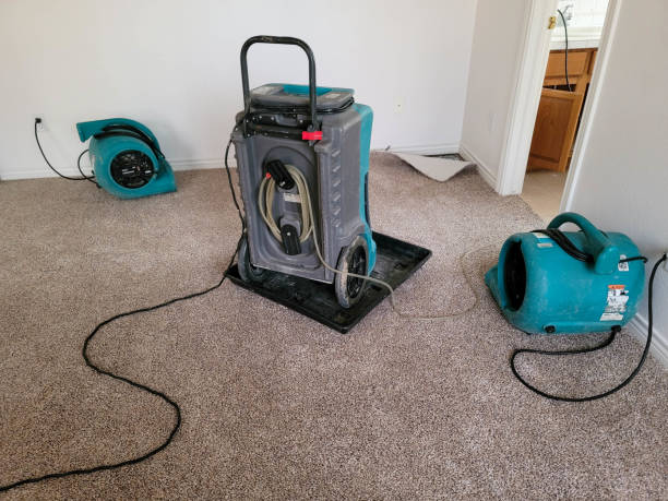 Best Commercial water damage restoration  in Beale Af, CA
