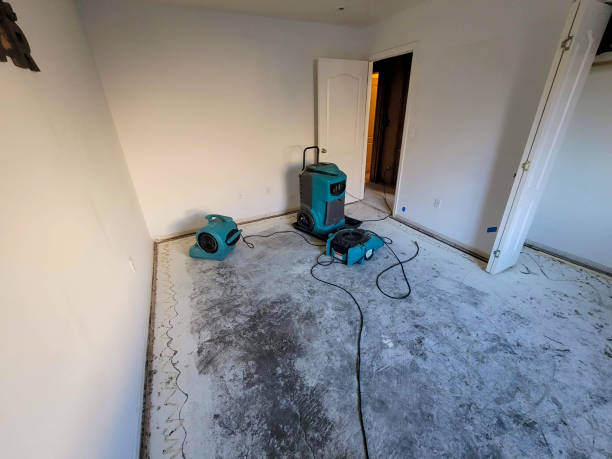 Best Mold removal after water damage  in Beale Af, CA