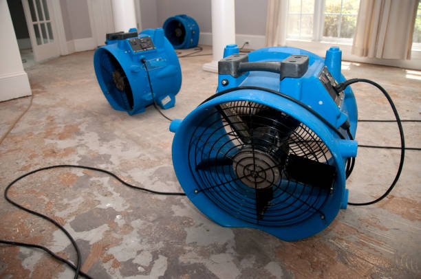 Best 24-hour water damage restoration  in Beale Af, CA