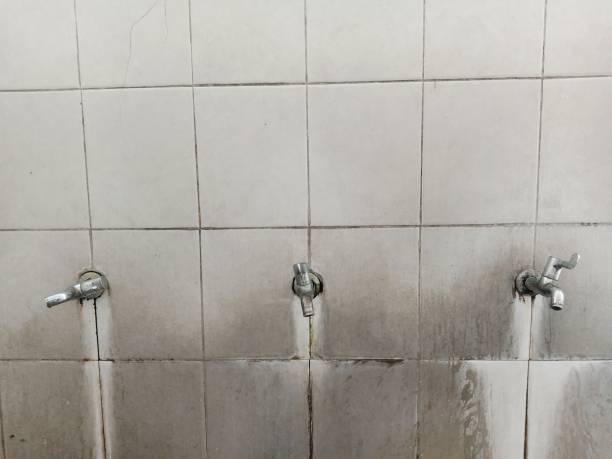 Best Carpet water damage restoration  in Beale Af, CA